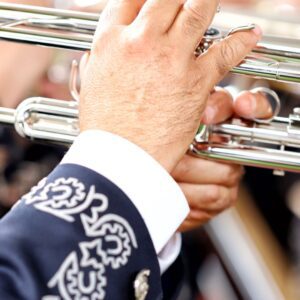 Mariachi Orquesta "Los Elegantes"